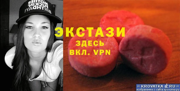 дживик Краснослободск