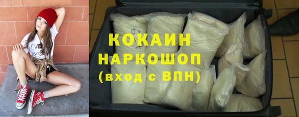 дживик Краснослободск