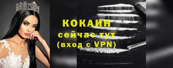 дживик Краснослободск