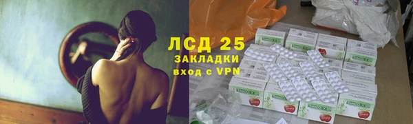 дживик Краснослободск