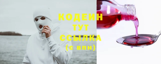 дживик Краснослободск