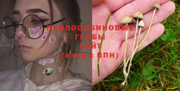 дживик Краснослободск