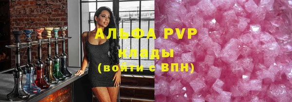 дживик Краснослободск
