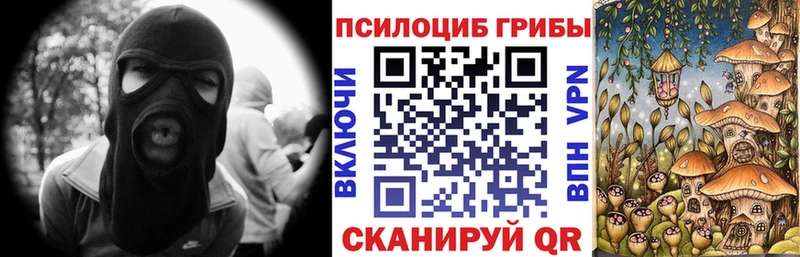 Купить где  Клин  Галлюциногенные грибы Psilocybe 